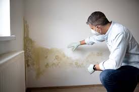 Mold Remediation for Rental Properties in Virginia, IL